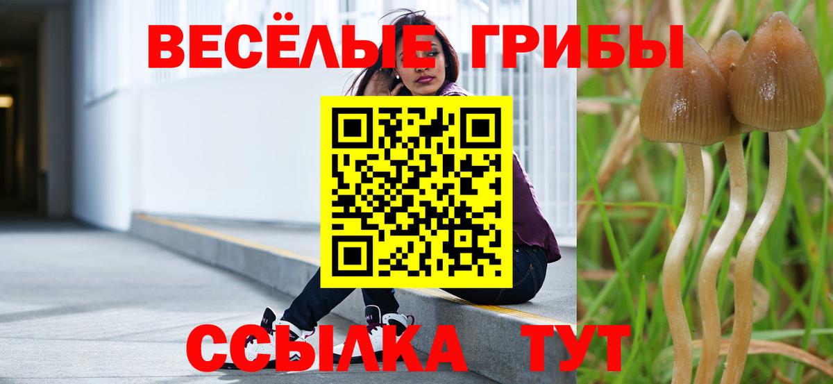 Псилоцибиновые грибы ЛСД  Вход с VPN  Урюпинск 
